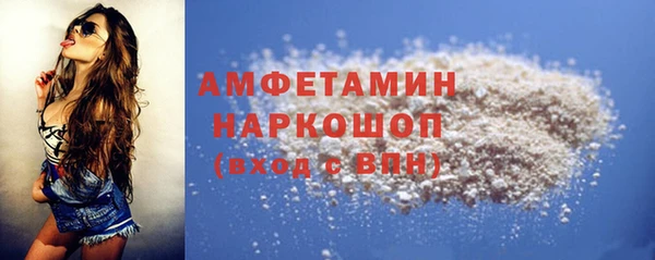мдпв Инсар