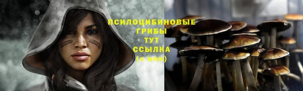 шишки Каменск-Шахтинский