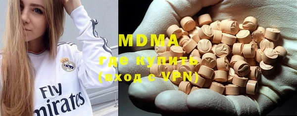 мдпв Инсар
