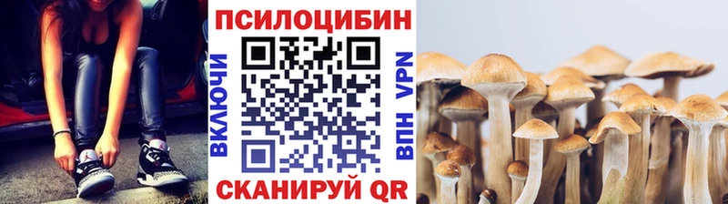 Галлюциногенные грибы ЛСД  Купить где  Шиханы 